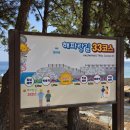 혼자 묵호여행 해파랑길 33코스/ 묵호역 ~ 추암역 16km 뚜벅이 동해여행코스