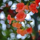 부천중앙공원 이미지