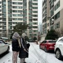 딸 부잣집 | 경산 미나리 삼겹살 육동 하우스 딸부잣집미나리