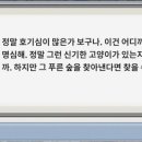 팬시랜드