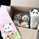 밀알천사 | 판다월드 신상 굿즈 푸바오 핫팩인형 겟했습니다 and 헤어밴드