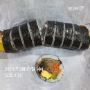 2025 RIIZING LOUD 라이즈 콘서트 티켓팅 성공 후기 (+1만번대 진입 체조 2층 앞열 성공)
