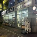 더착한마트 | [펫마트] 부산 명지동 펫마트 방문 후기, 반려동물 용품 천국! 가격까지 착한 대형 할인매장