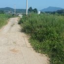 공인중개사사무소 진흥부동산 이미지