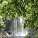 서귀포 천제연 관개수로 | 여자 혼자 제주도 여행, 안전한 여행지 천제연폭포 소요시간, 입장료 등 내돈내산 솔직후기