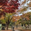 신안평거녹지 네이버블로그