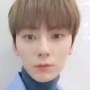 더쵸이스 네이버블로그