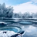 백운면 2121 이미지