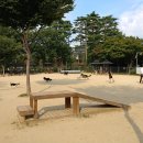 댕댕놀이터 한국일보