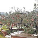 김기준농장 이미지