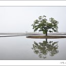 평야