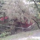 강상면사무소 이미지