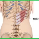 활법입문 5편 : 요추에 대하여.. 이미지