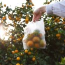 신화농장 이미지