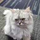 파트너당구장 이미지