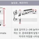 페르마타2 이미지