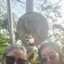 일박이일 이미지