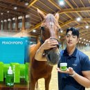 피치인터내셔널