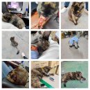 도계시장 이미지