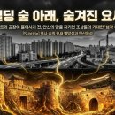 별망성지 | 안산시사 제37회 | 역사 속의 요새 별망성과 안산읍성 : 조상들의 숨결이 남은 성곽 유산