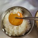 [강화도 맛집] 강화 석모도 보문사 맛집 토담마을
