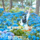 다온목장 | 『가평 양떼목장 수국축제』 완벽 가이드💐 양·수국·힐링, 3박자 여행코스 총정리!