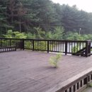 캠누리 오토 캠핑장 이미지