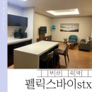 부산 해운대 근처 호텔 펠릭스 바이 에스티 엑스 솔직후기