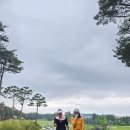 세라지오골프클럽화장실 | 여주 세라지오cc 라운딩후기 (3억 소나무 몸값^^)