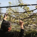 천주농장 이미지