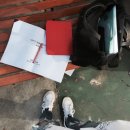 아프리카동물병원 이미지