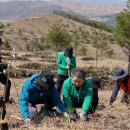 유한킴벌리 주식회사 이미지