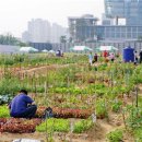 도봉농장 이미지