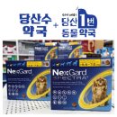 당산수약국 네이버블로그