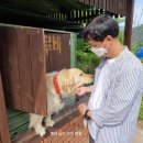 루비노펜션 이미지