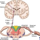 365마디척한의원 이미지