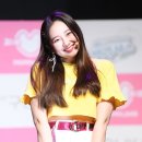 태하 MK스포츠