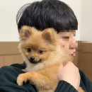 퍼니펫 동물병원 이미지