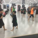 판테라짐 이미지