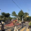 01-41 동구 | 2026 대청호 장미전시회 후기 주차 꿀팁부터 포토존까지 완벽했던 대전 축제🌹