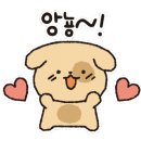 레이스키친 이미지