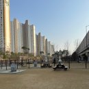 금곡동반려견놀이터 이미지