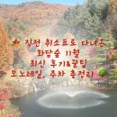 평화순환길 | 직전 취소표로 다녀온 화담숲 11월 최신 후기와 꿀팁, 순환모노레일 탑승