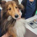 두카메디컬센터 이미지