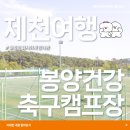 봉양건강축구캠프장 | [제천여행] 철쭉이 화사하게 만개한 '봉양건강축구캠프장'