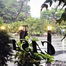 까사3353레스토랑 이미지