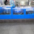 바다장어 숯불구이 민물장어 숯불구이 이미지