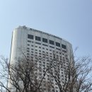 헬로호텔 | 잠실 롯데호텔 디럭스 더블룸 &amp; 헬로키티 애프터눈 티세트 후기