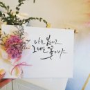 기념일 드라이플라워 캘리그라피 액자 만들기