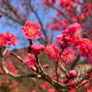 믿음 - 세종특별자치시 보통1길 124 | 믿음